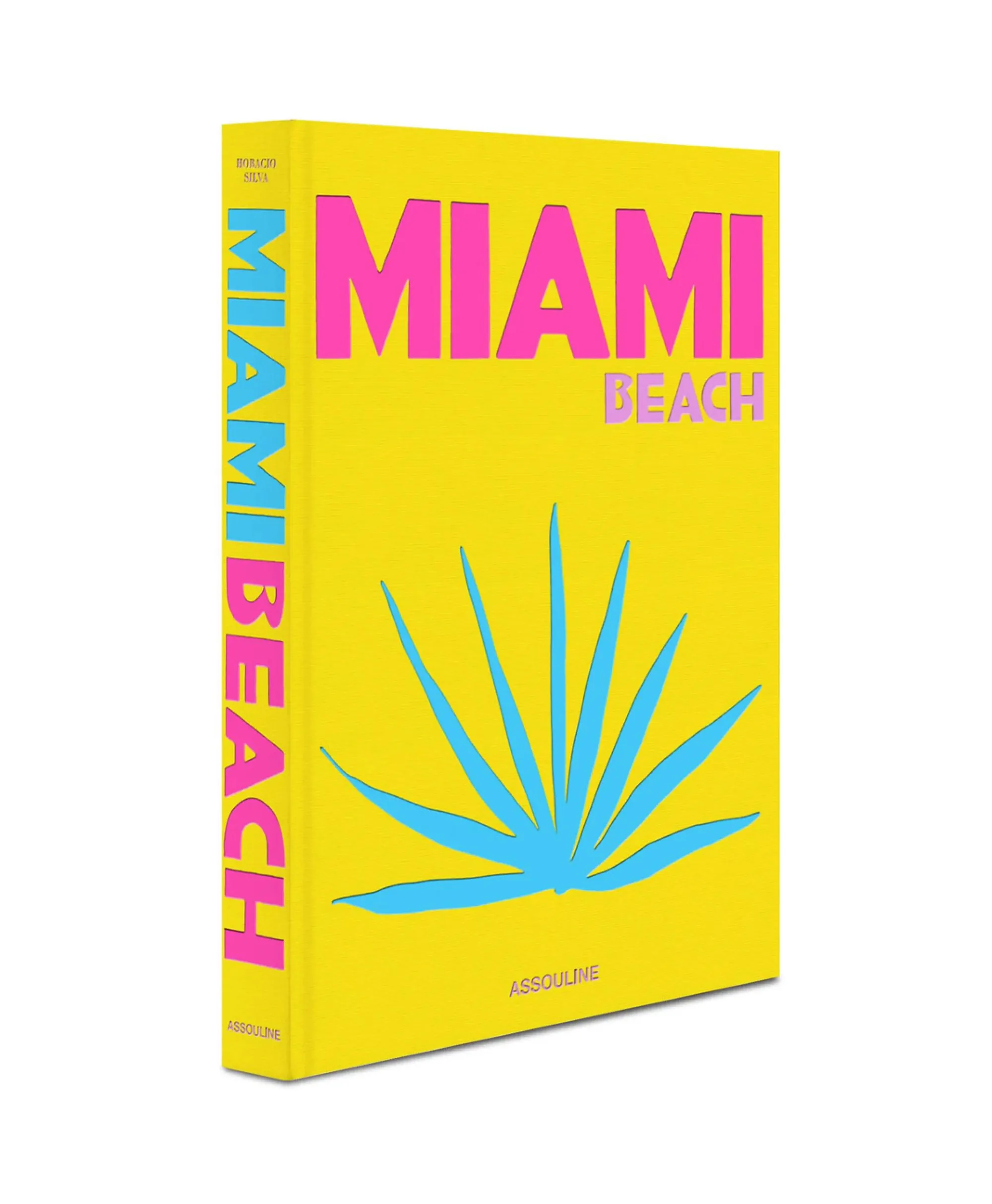 Assouline Boek Miami Beach Diversen*Lifestyle Lifestyle