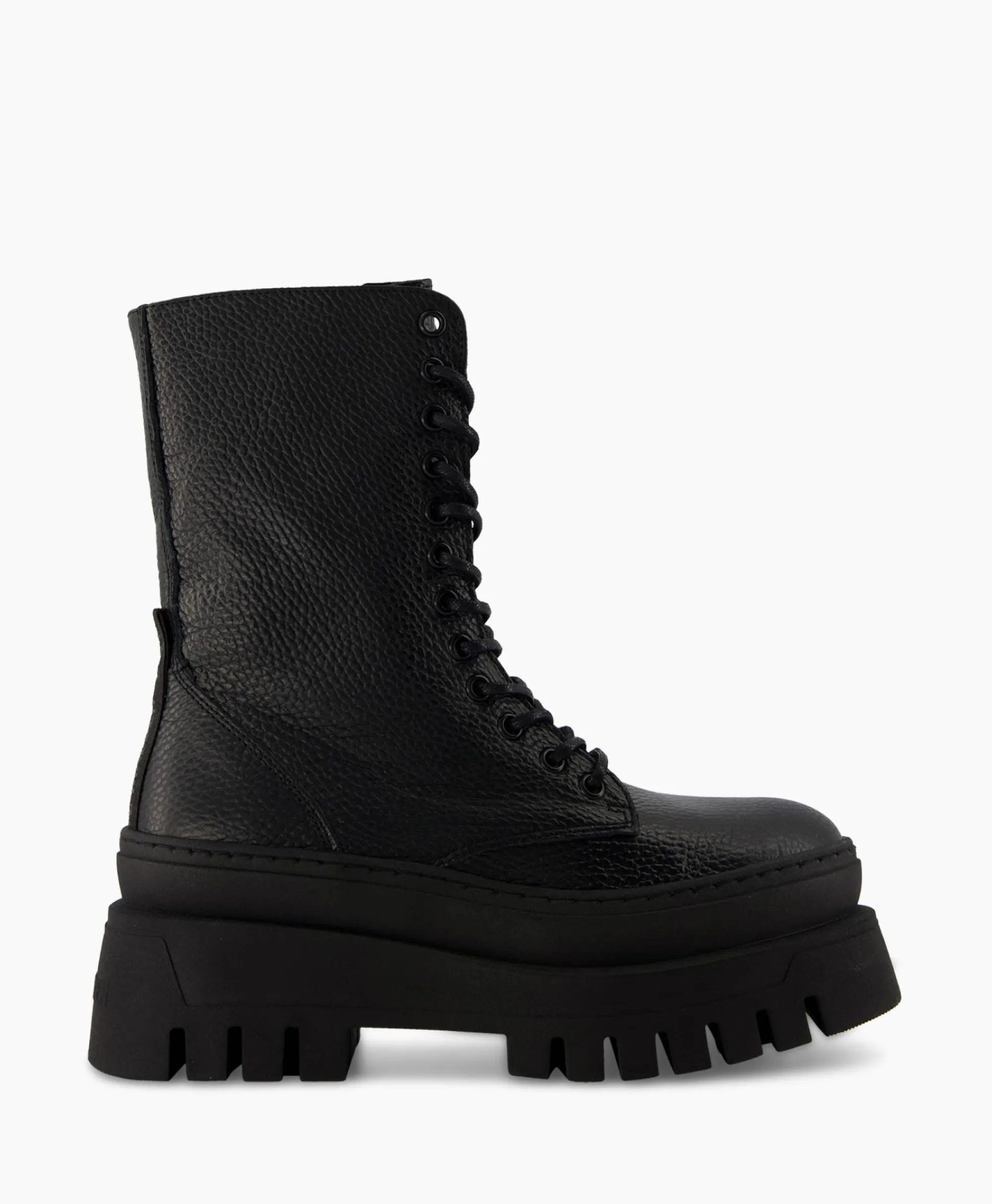 Steve Madden Enkellaars Coast Zwart*Dames Laarzen